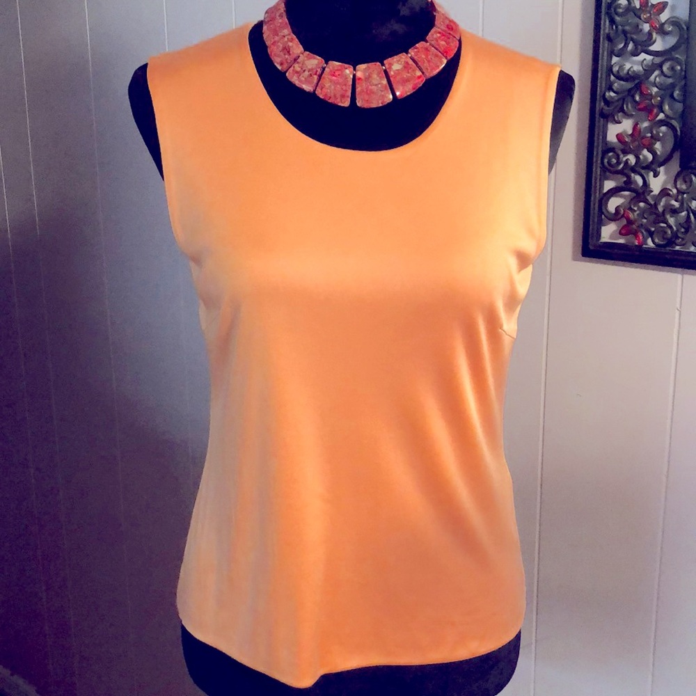 Petite Sophisticate Sleeveless Top M